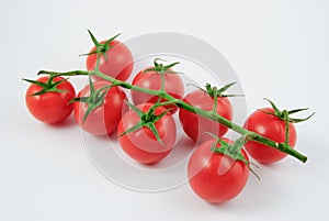 Eight vine tomatoes (Solanum lycopersicum)