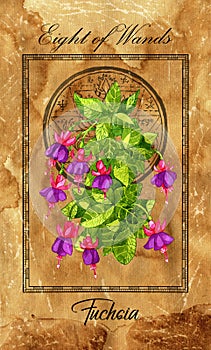 Eight of Wands. Minor Arcana tarot card with Fuchsia and magic seal