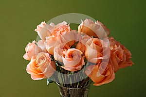 Eighteen long stem orange-peach roses in a glass vase with a green background