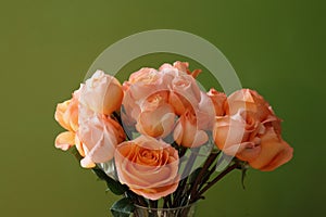 Eighteen long stem orange-peach roses in a glass vase with a green background