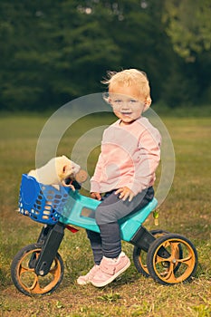 Eighteen months old baby girl on tricycle bike with albino ferret