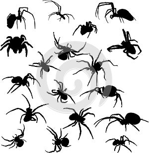 Eighteen spider silhouettes