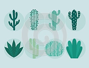 eigth cactus items