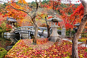 Eikan-do garden with fall colors, Kyoto