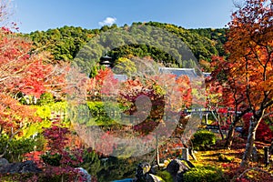 Eikan-do zenrinji garden in autumn