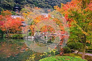 Eikando japanese garden in autumn with maple, Kyoto