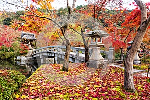 Eikando temple park with colorful autumn maple leaf, Kyoto