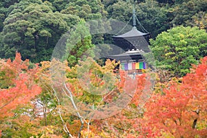 Eikando Zenrin-ji pagoda with autumn leaf, Kyoto