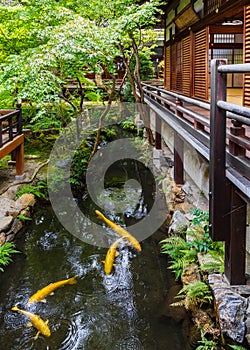 Eikando Zenrin-ji Temple in Kyoto