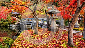 Eikando Zenrinji fall garden, Kyoto