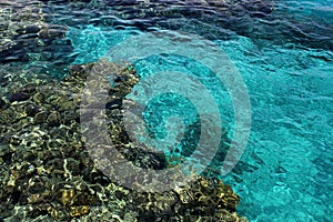 Coral Beach Nature Reserve in Eilat, Israel. View of a coral reef through the water near the Marine underwater Observatory