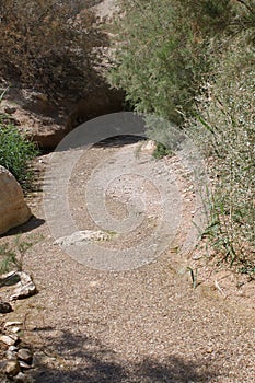 Ein Bokek Brook, The Dead Sea