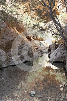 Ein Bokek Brook Natural Pool, The Dead Sea