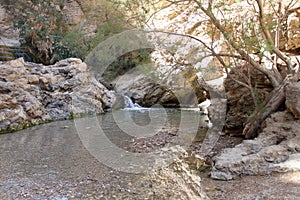 Ein Bokek Brook Natural Pool, The Dead Sea