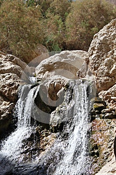 Ein Bokek Brook Waterfalls, The Dead Sea photo