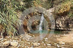 Ein Gedi creek, Dead sea, Israel