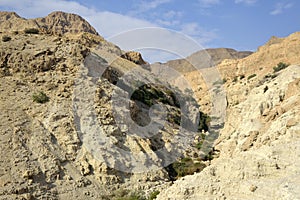 Ein Gedi gorge in Judea desert.