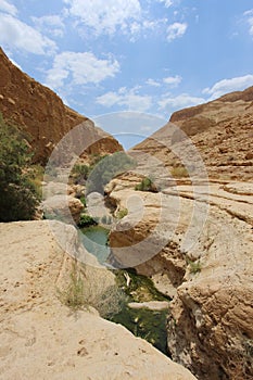 Ein Gedi, Judea Desert in the Holy Land, Israel