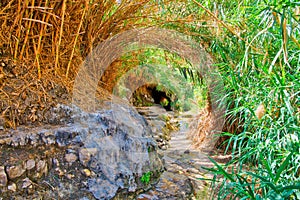 Ein Gedi National Park in Israel