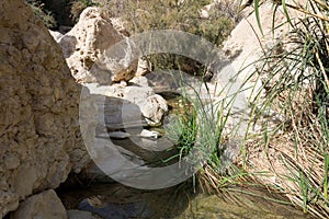 Ein Gedi National Park at Southern Israel