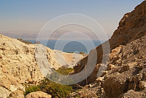 Ein Gedi National Reserve photo