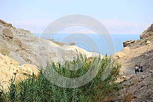 Ein Gedi Nature Reserve