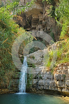 Ein Gedi Nature Reserve