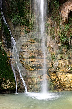 Ein Gedi Nature Reserve