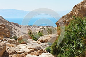 Ein Gedi Nature Reserve (Israel)