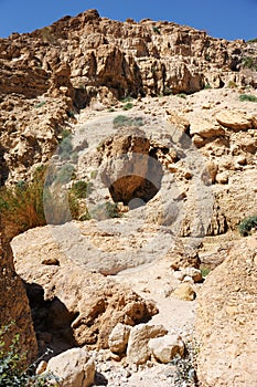 Ein Gedi Nature Reserve (Israel)