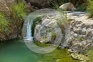 Ein Gedi Nature Reserve off the coast of the Dead Sea