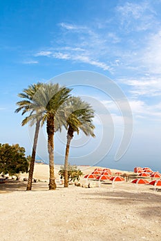 Ein Gedi oasis - Israel