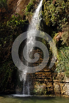 Ein Gedi Oasis - Israel