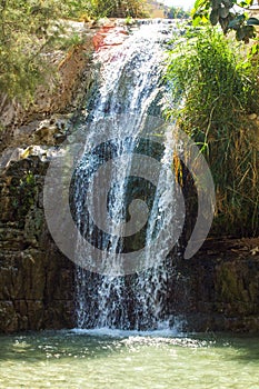 Ein Gedi spring, Israel.