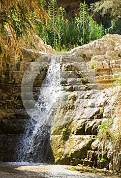 Ein Gedi spring, Israel.