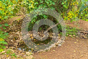 Ein Mata spring, with trees, lower Judaean Mountains