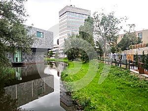 Eindhoven empty park.