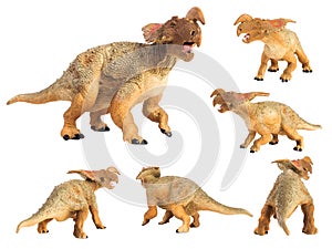 Einiosaurus Dinosaur on white background