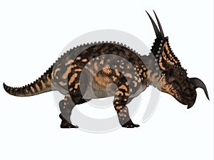 Einiosaurus Side Profile