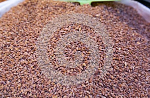 Einkorn, Triticum Monococcum, Siyez wheat bulgur