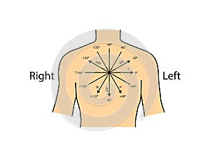 Einthoven ECG triangle, including augmented unipolar limb lead