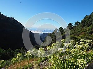 Eira do Serrado viewpoint