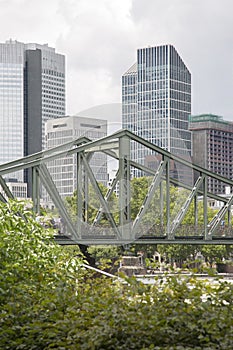Eiserner Steg Bridge; Frankfurt photo