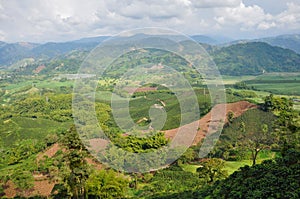 Eje cafetero, where most of the colombian coffee comes from, Col photo