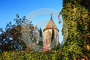 he Ejmiatsin Church of Armenian Apostolic church, surrounded by sypresses, located in Avlabari District, Tbilisi, Georgia