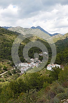 El Achebuchal in Natural Park of Sierras de Tejeda near Frigliana in Andalusia