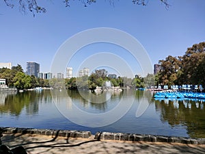 El bosque de chapultepec. Mexico city.