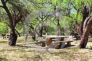 El Bosquecito Picnic Area in Colossal Cave Mountain Park