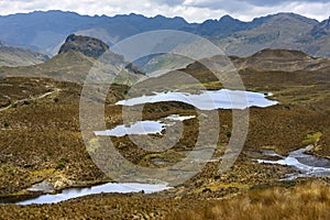 El Cajas National Park - Ecuador