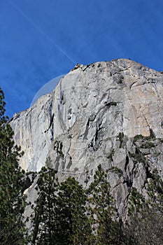 El Capitan Mountain Yosemite National Park